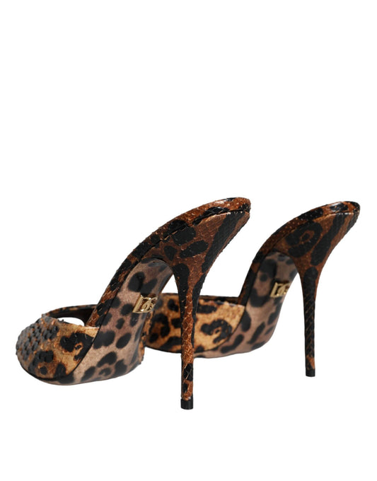 Dolce & Gabbana Brown Leopard Leather Slides Heels Sandals Shoes - Arichezz.store