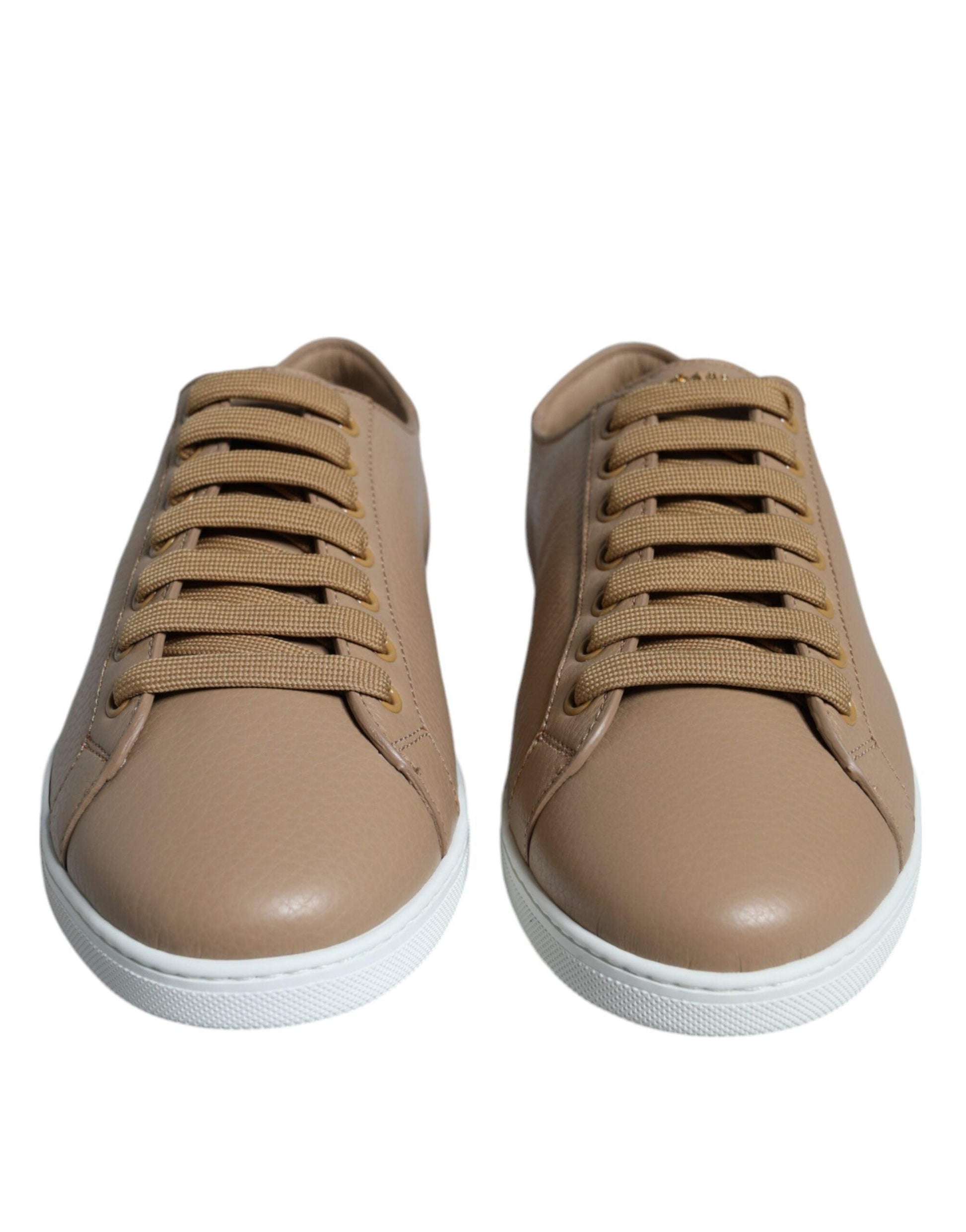 Dolce & Gabbana Brown Low Top Men Saint Tropez Sneakers Shoes - Arichezz.store