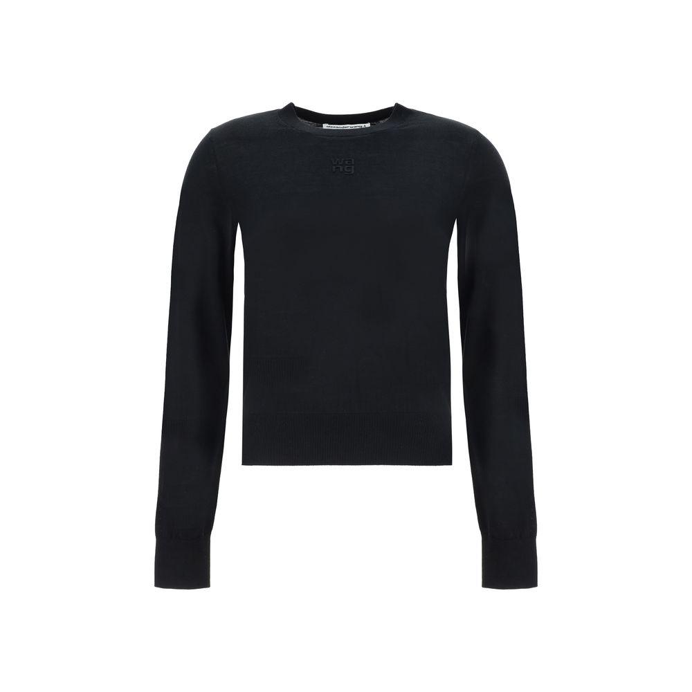 Alexander Wang Sweater - Arichezz.store