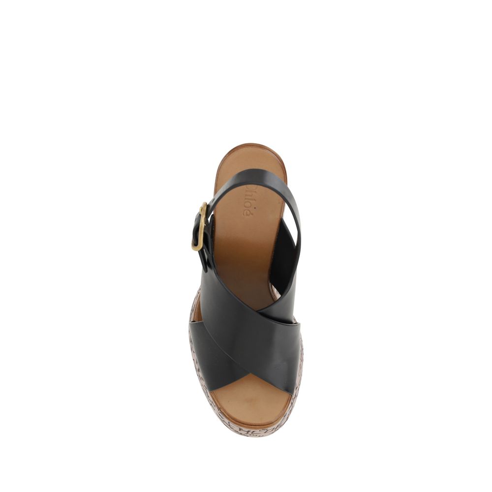 Chloé Maxime Sandals - Arichezz.store