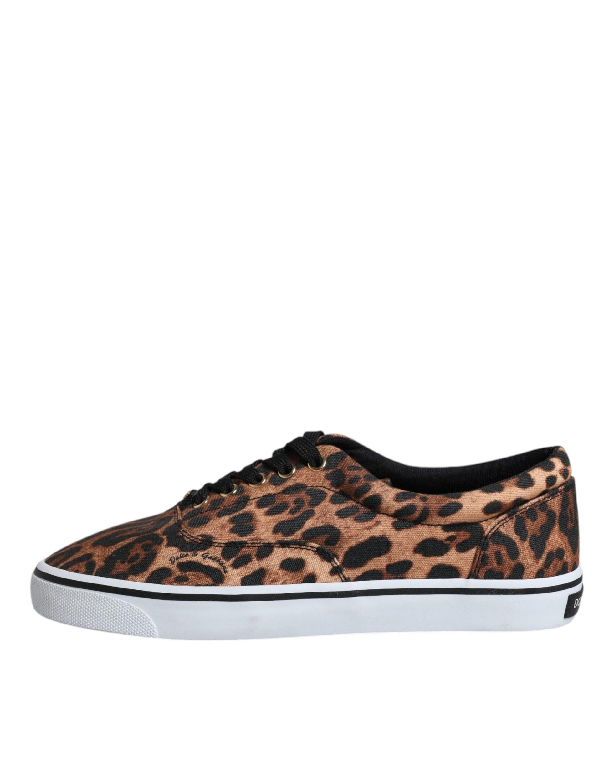 Dolce & Gabbana Brown Leopard Logo Print Cotton Sneakers Shoes - Arichezz.store