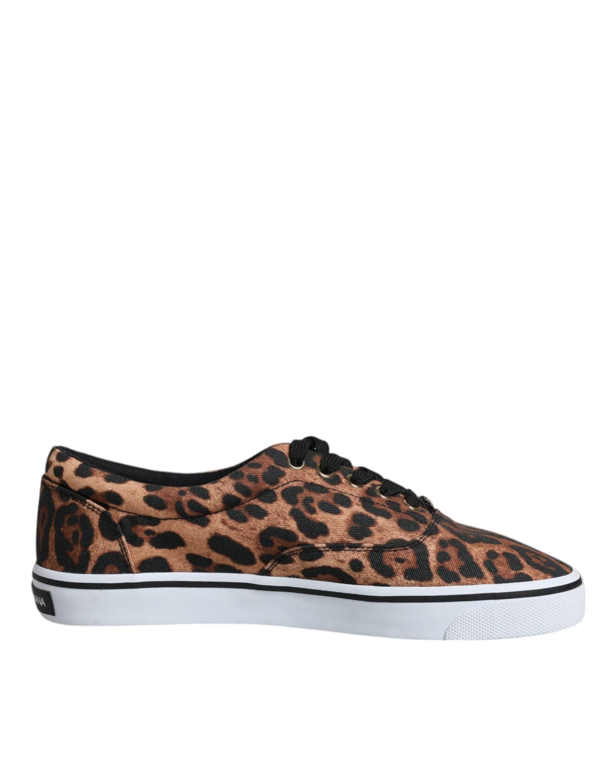 Dolce & Gabbana Brown Leopard Logo Print Cotton Sneakers Shoes - Arichezz.store