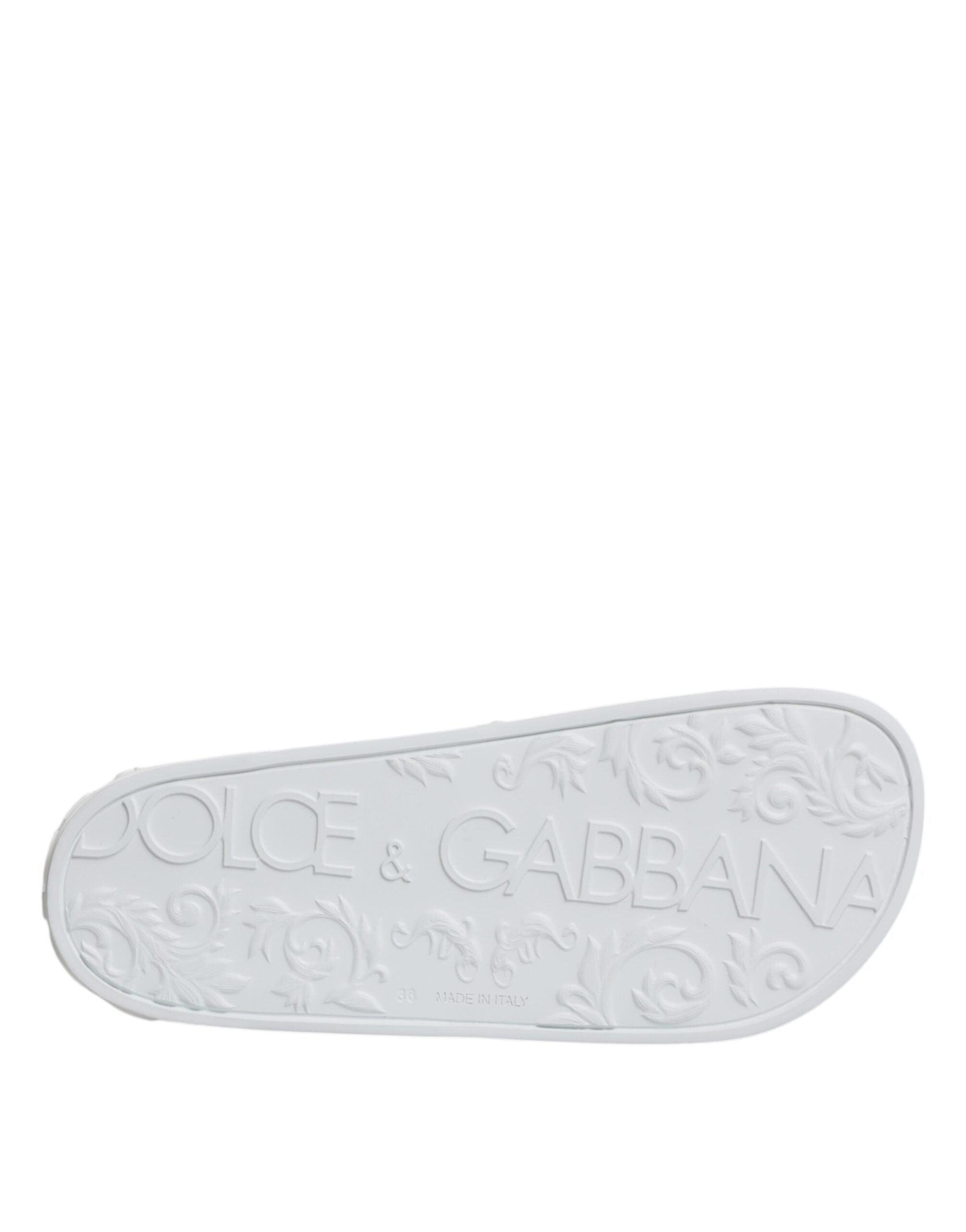 Dolce & Gabbana White Rubber Slides Sandals - Arichezz.store